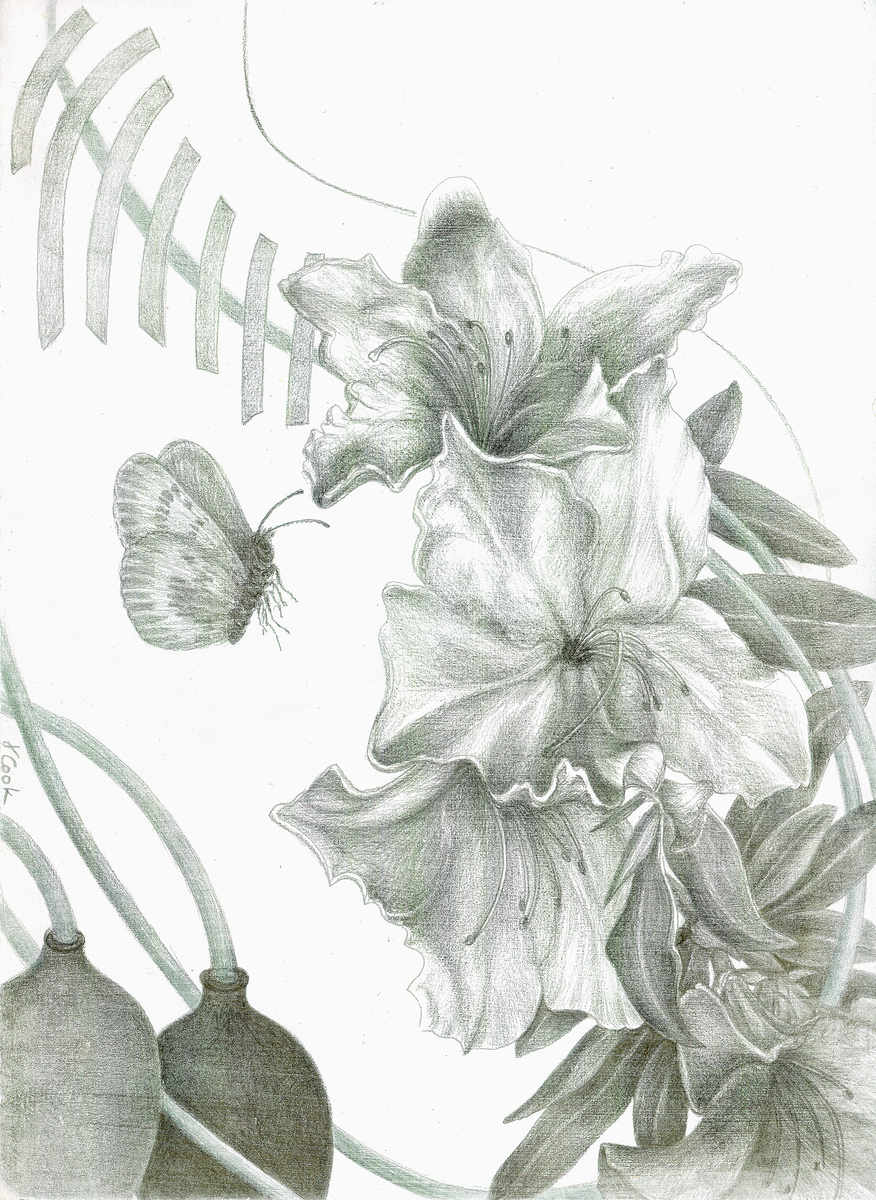 recovery from Surgery, silverpoint, Jeannine Cook artist