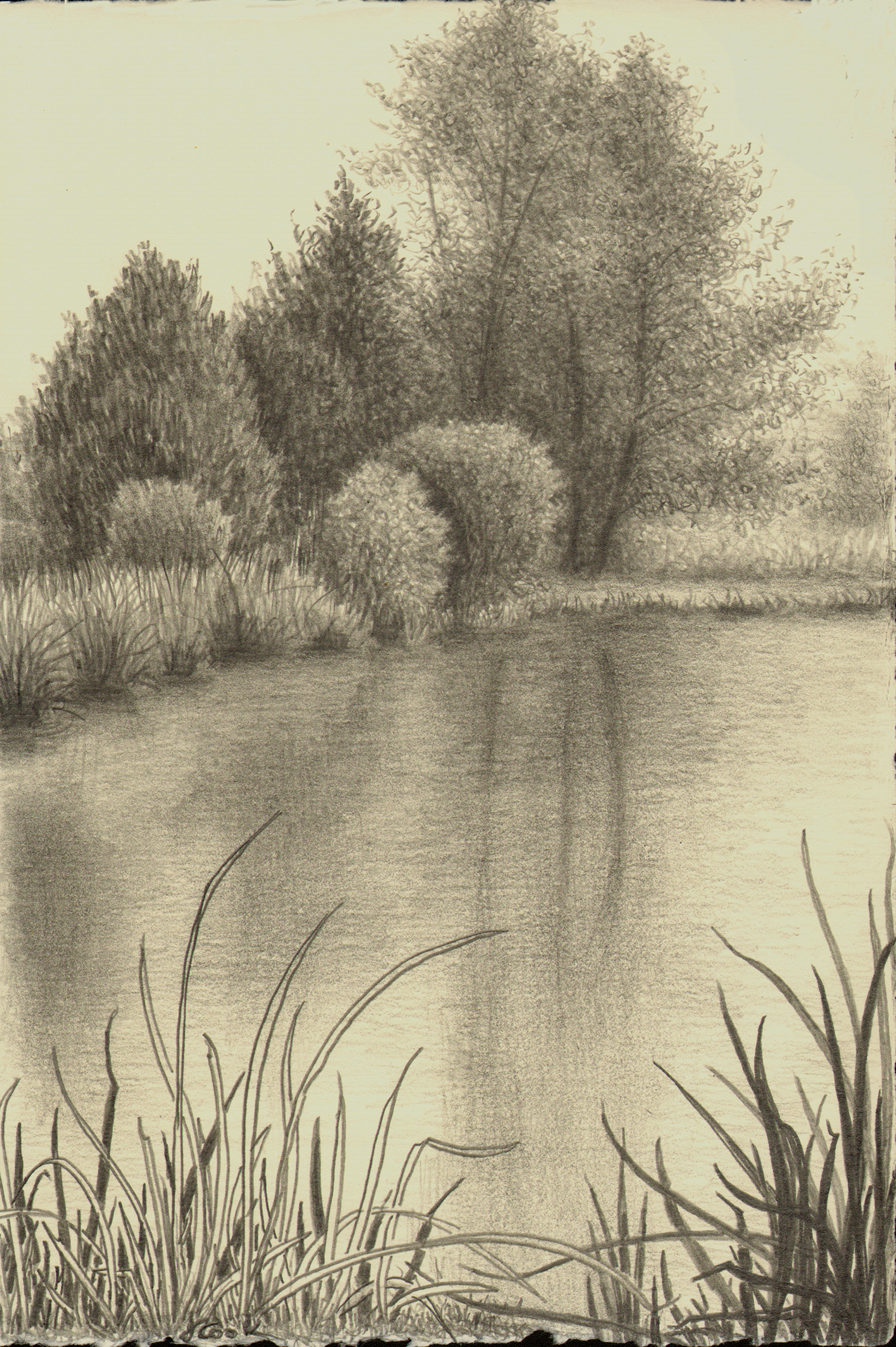 March at Butler Island, graphite, Jeannine Cook artist