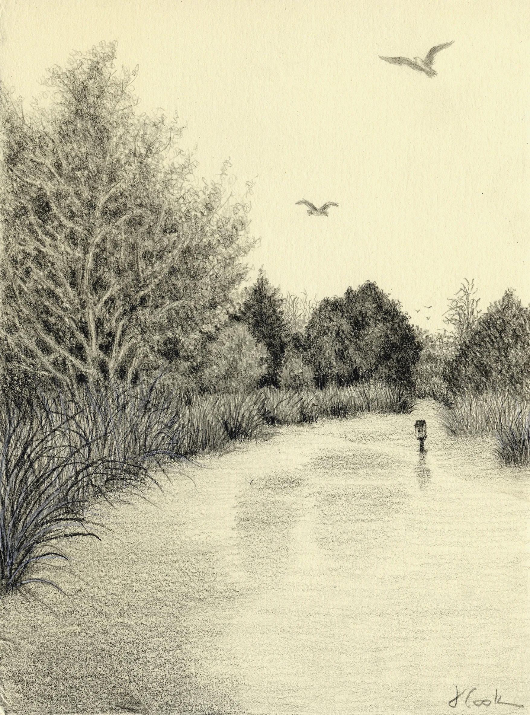 Osprey Patrol, Butler Island, graphite, Jeanine Cook artist