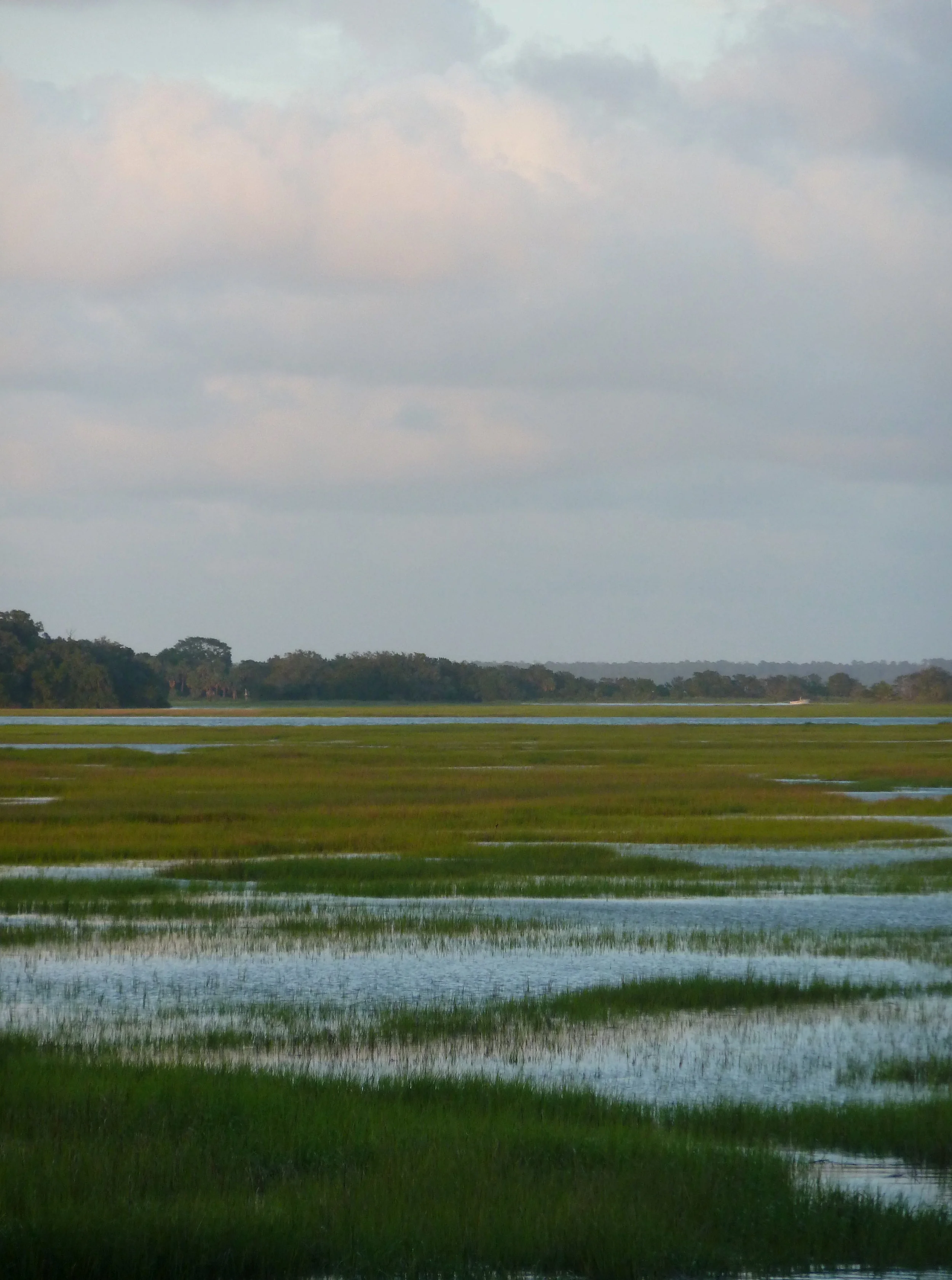 Late afternoon view from our home in coastal Georgia
