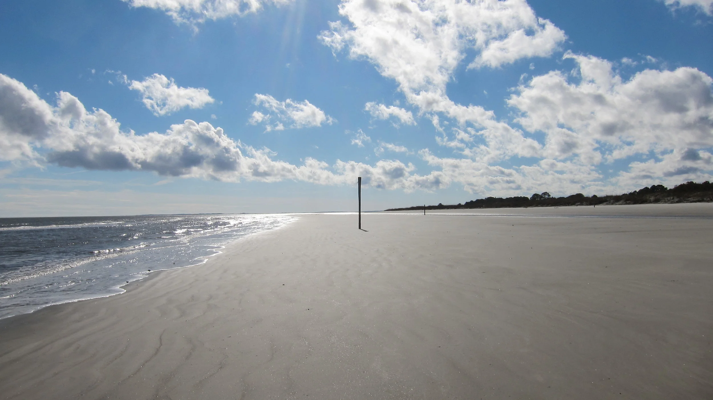 Sapelo Island, Georgia