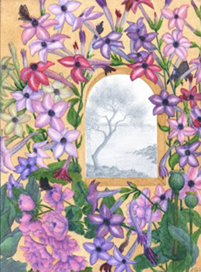 Palma's Book of Hours, silverpoint and watercolour, Jeannine Cook artist