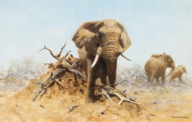 Elephant and Anthill by David Shepherd CBE, (Image courtesy of The Field)