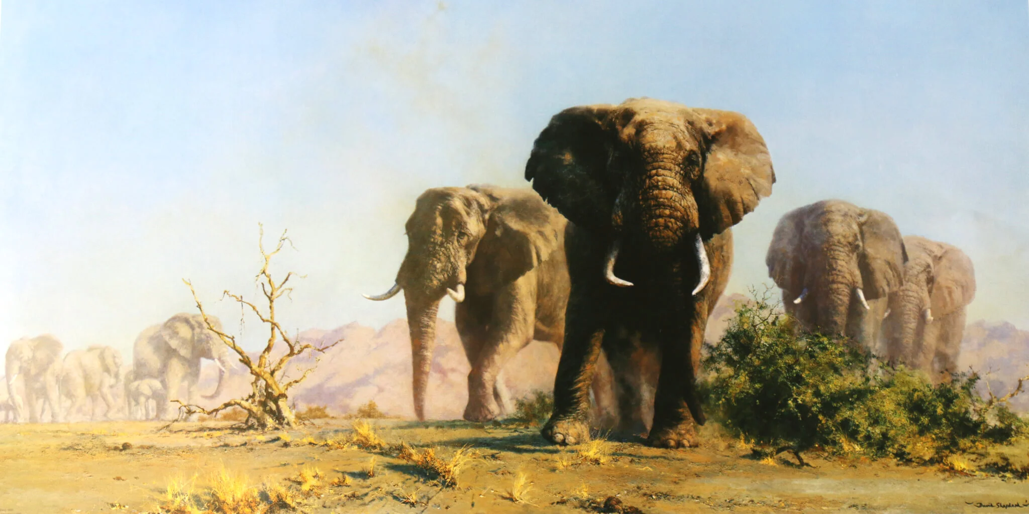 The Ivory is Theirs, David Shepherd CBE, (Image courtesy of the artist)