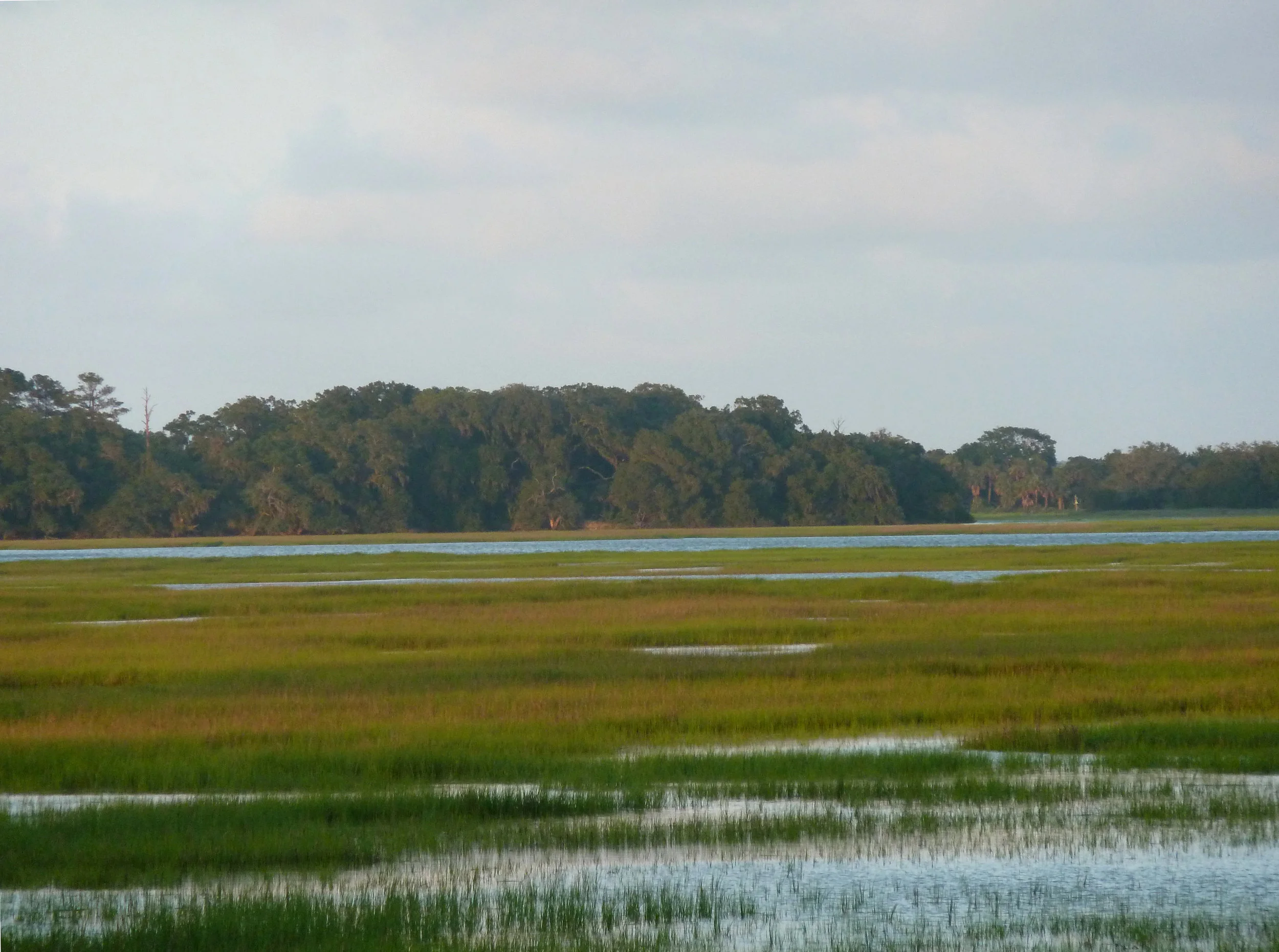 The Marshes at Cedar Point, Georgia