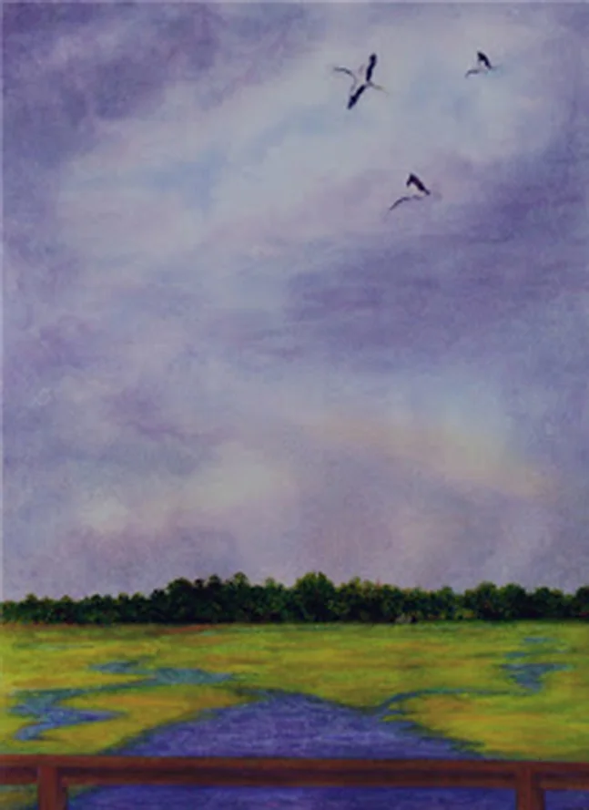 Soaring above Creighton, watercolour, Jeannine Cook artist