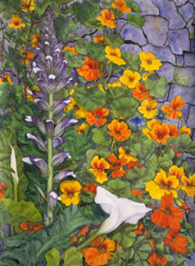Climbing the Wall, Palma, watercolour, Jeannine Cook artist