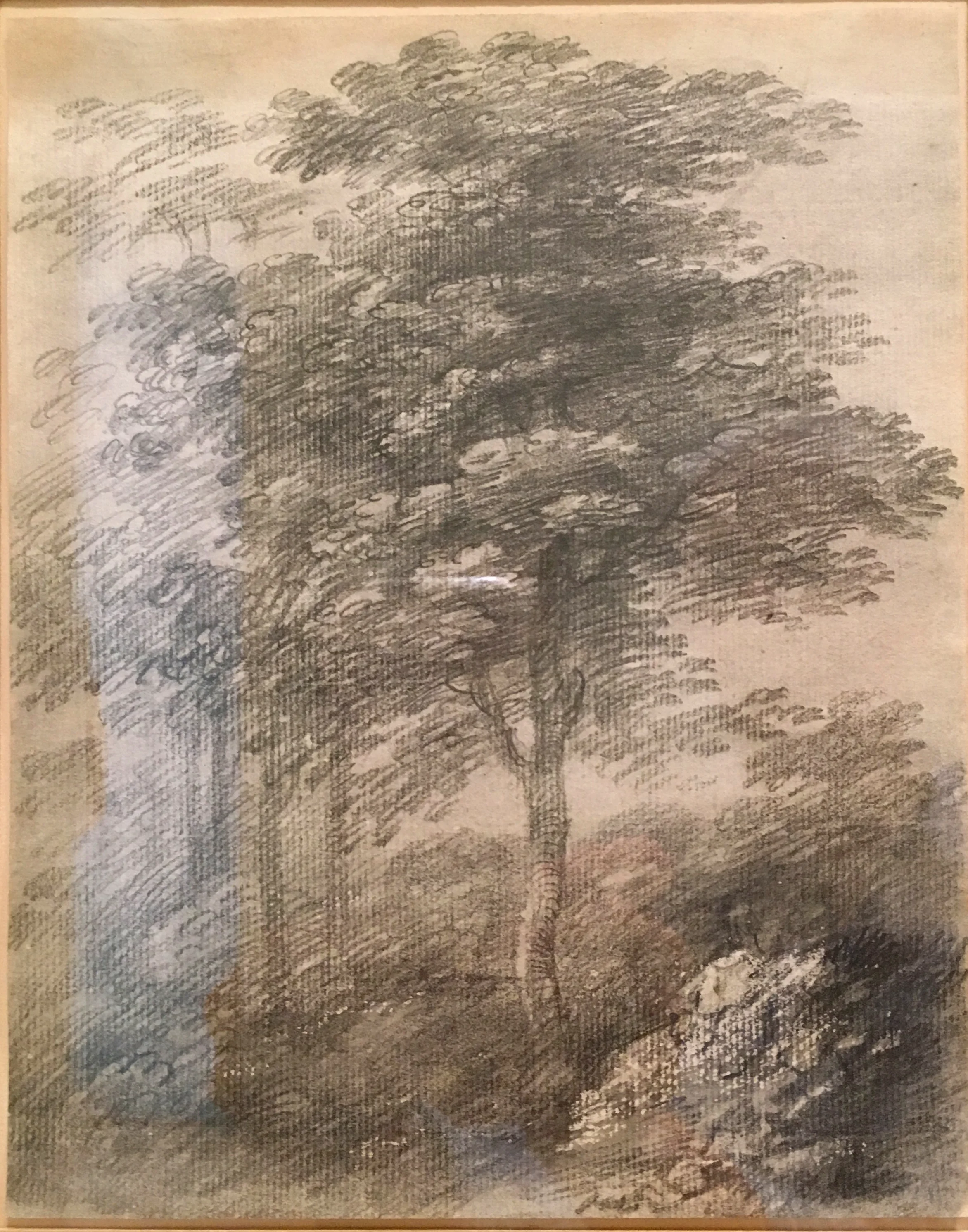 Study of a Tree, 1755-59, graphite with smudging, worked with gum arabic, Thomas Gainsborough. He worked en plein air from early youth, regarding the English countryside as his first textbook and "taking lessons from the sun-set clouds" as his first biographer, George William Fulcher, described. The Morgan Library. (Photograph J. Cook, alas with some light reflections!)