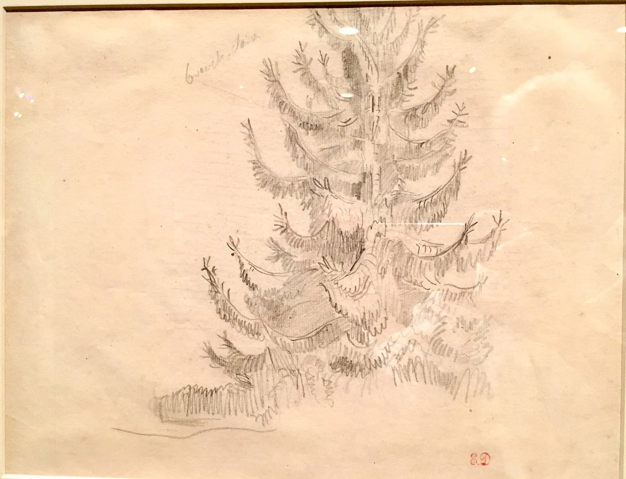 Fir Tree, 1850s. graphite, Eugène Delacroix. after an initial 1844 visit to Champrosay, south of Paris, Delacroix increasingly spent time in nature, recording his impressions in his journals and in his drawing books (photograph J. Cook)