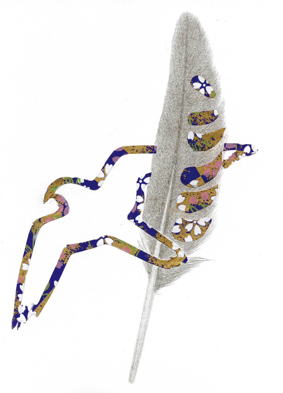 The Peregrine Falcon's Feather