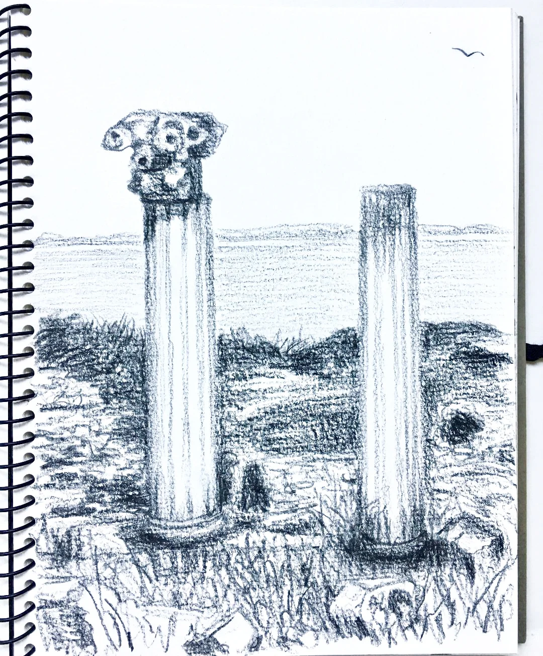 Tharros, Sardinia - 13.6.2005. Prismacolor. J. Cook artist