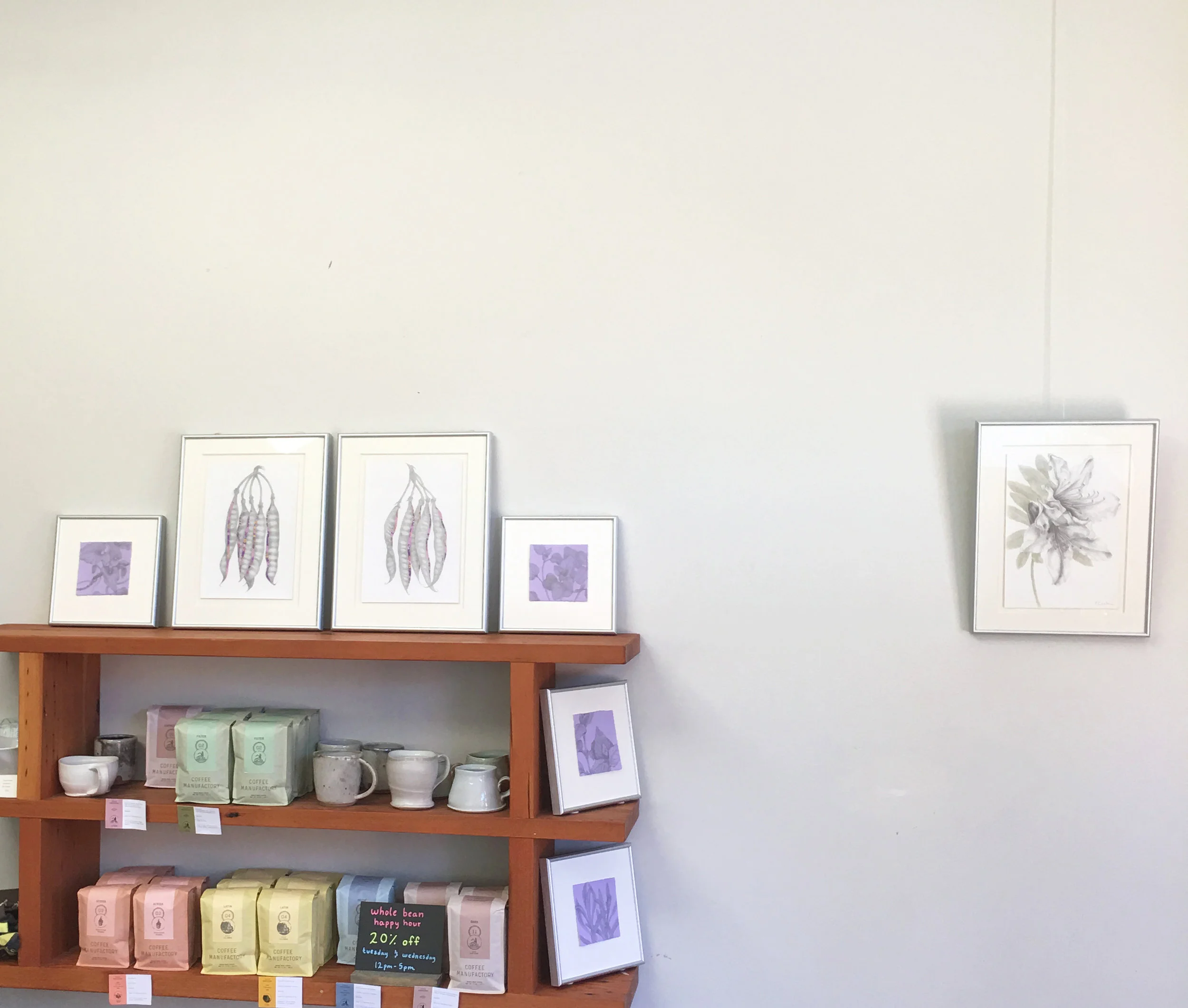 Glints of Light: Drawings in Silver, Subrosa, MLK Street, Oakland. The rest of the exhibition of botanical drawings
