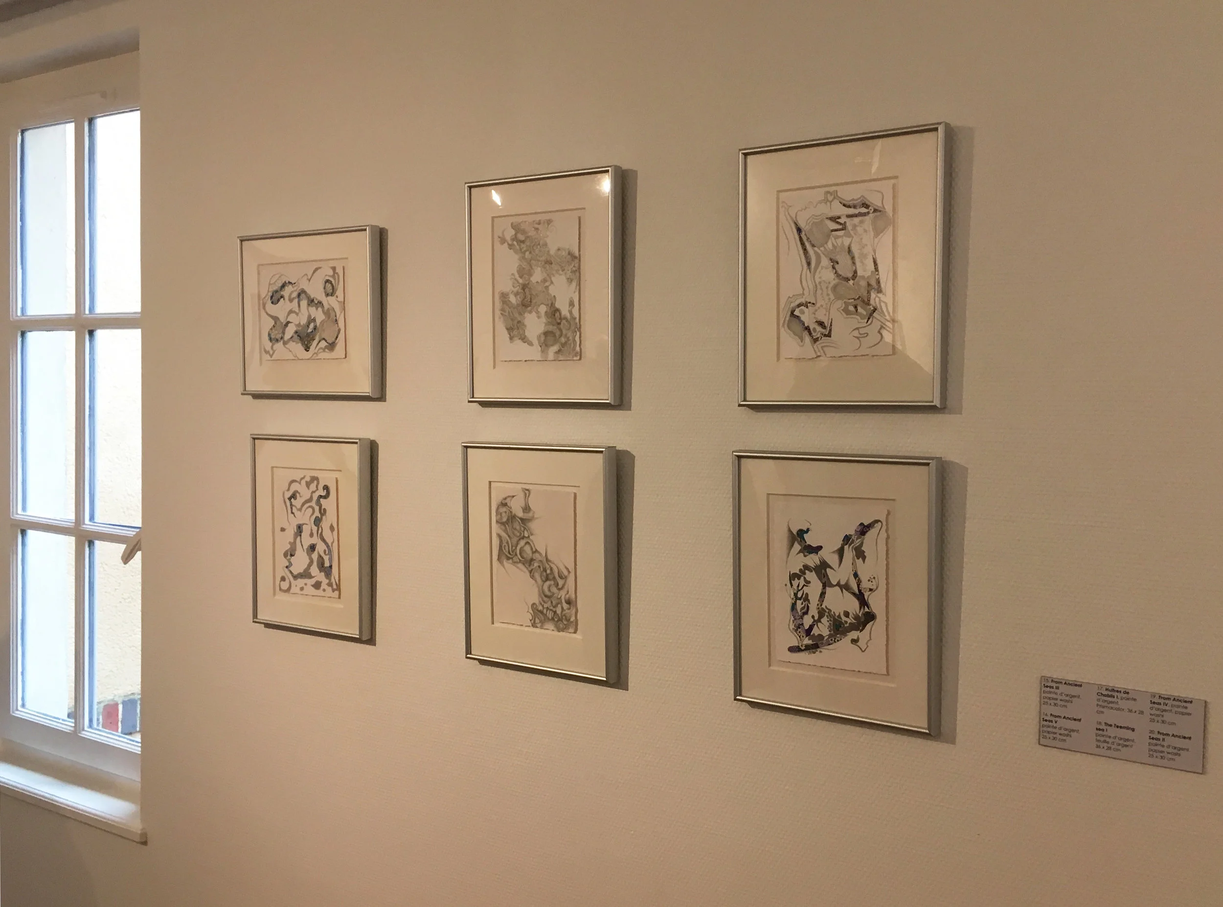 Another part of the Terratorium exhibition (Photograph courtesy of Michelle Anderson)