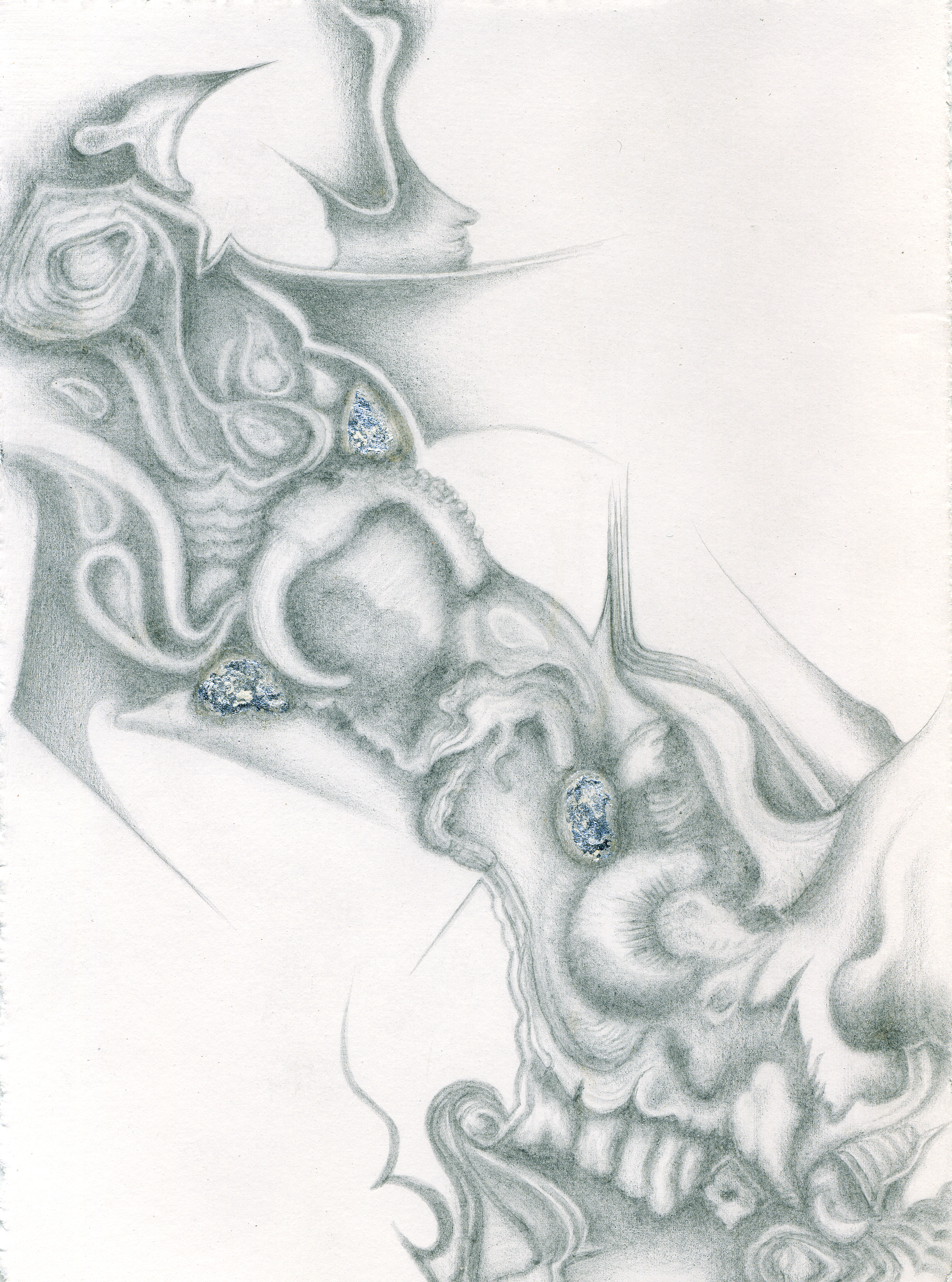 The Teeming Sea I, silverpoint - silver foil, Jeannine Cook artist