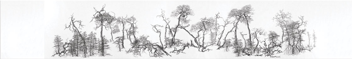 Enchanted Forest Revisited, 2017, 5.5 x 1m, pigment ink on Kozo paper, Philippa Nikulinsky, artist