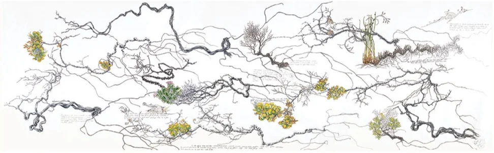 Wind-blown Cliff Top Shoal Cape , 2015 – 2016, 275 x 66cm, watercolour, gouache and pigment ink on Kozo paper, Philippa Nikulinsky artist
