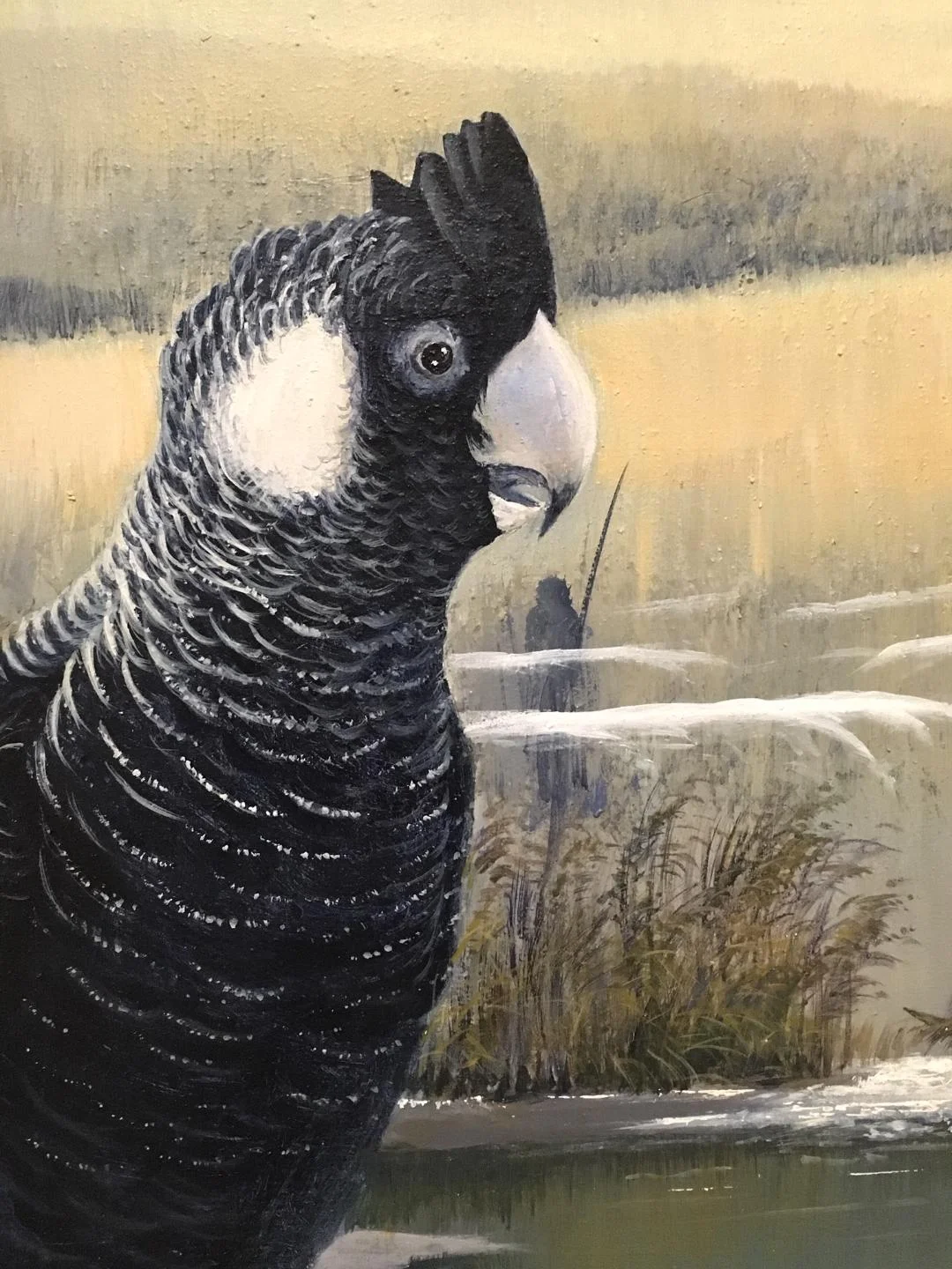 Ngoorlark Boorongur, (detail) , acrylic on canvas, 2015, Lance (Tjyllyungoo) Chadd artist (photograph J. Cook)