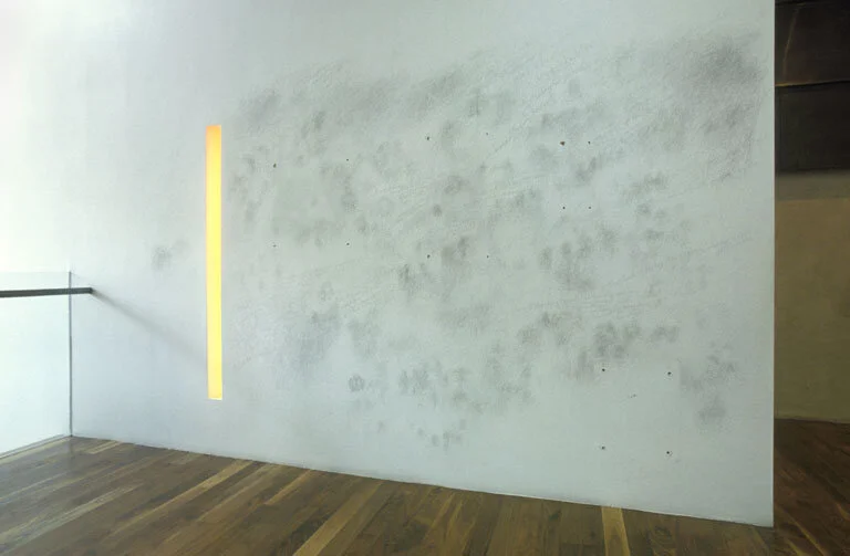 Silverpoint drawing on plaster wall, 2006, Erika Winston, a drawing done in public as part a residency at Oz Studio/Oz Unicorn Theatre, London