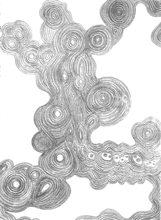 Sea Creatures of Yore, Joya