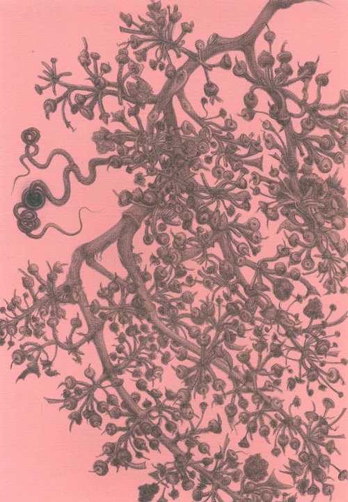 Après les Vendanges