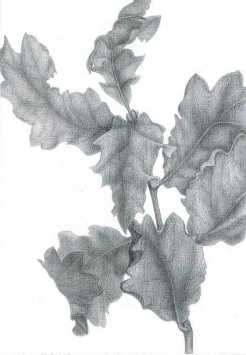 Oak Leaf Dance, Autumn