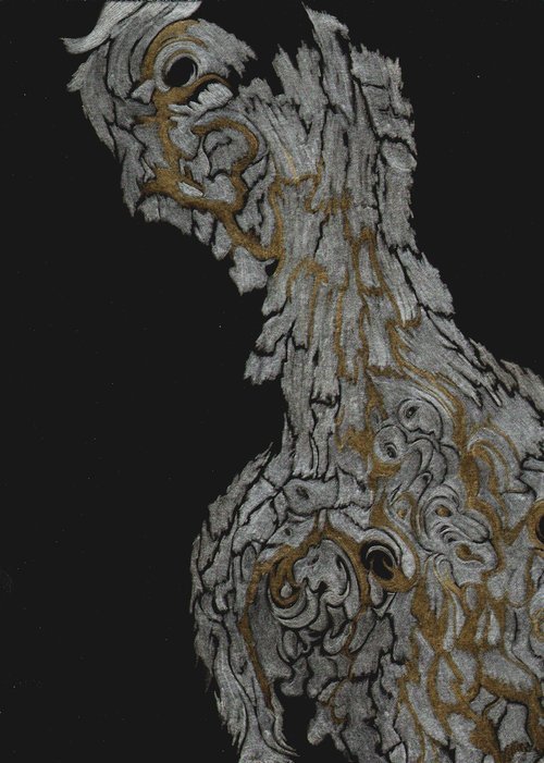 Cork Oak Contours, Evoramonte