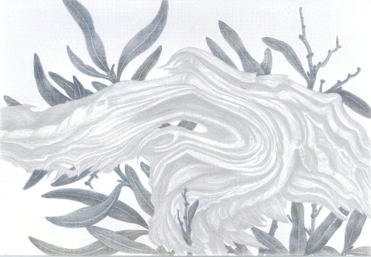 Past and Present - Olive  Platinum