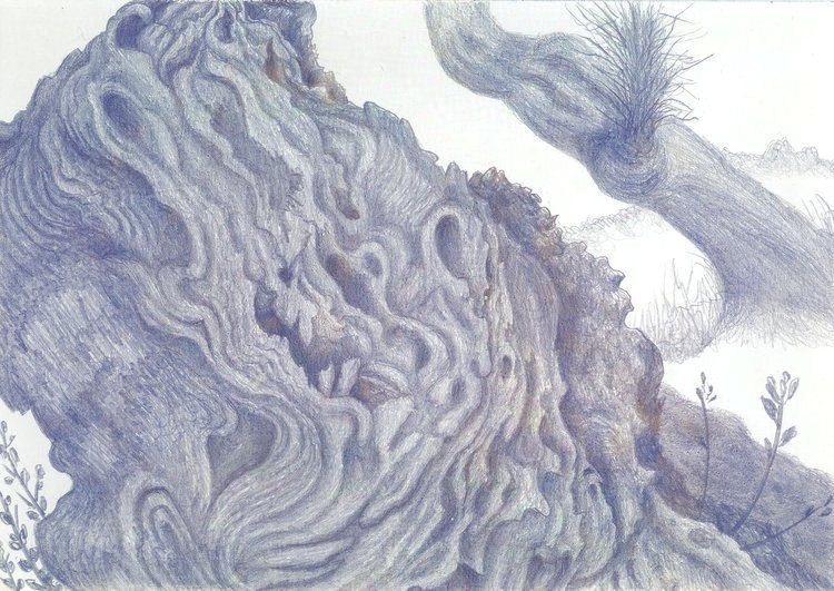 The Young and the Old - Olives (Mallorca)