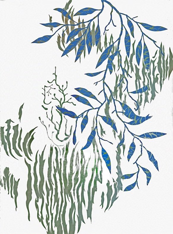 Paperbark - the Woodborers' Home II  