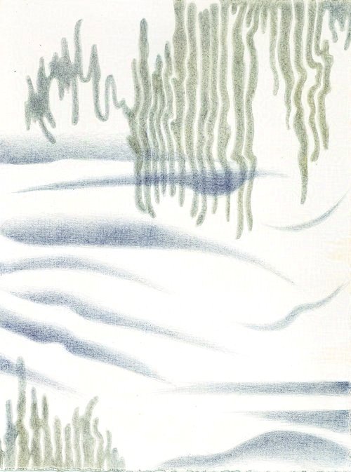 Paperbark Patterns I  