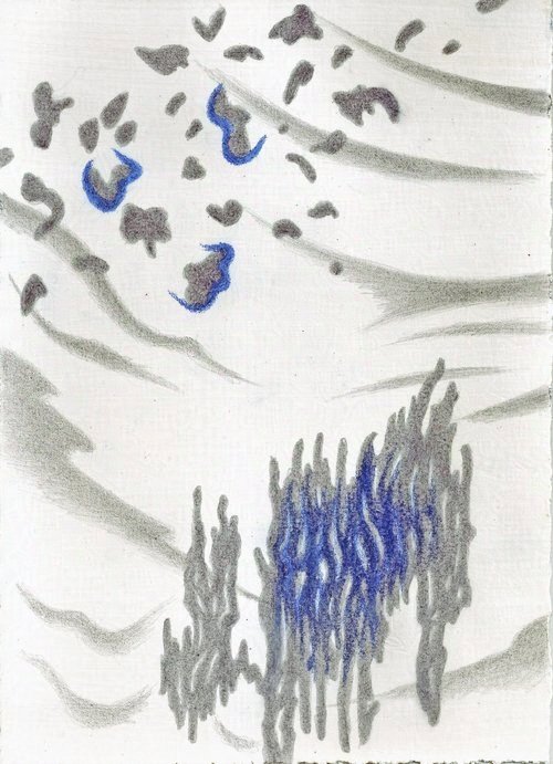 Paperbark Patterns II 