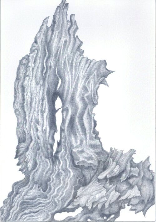 Eucalyptus Lace