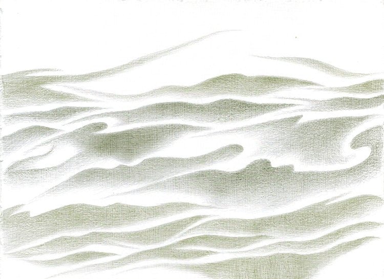 Eucalyptus Undulations II