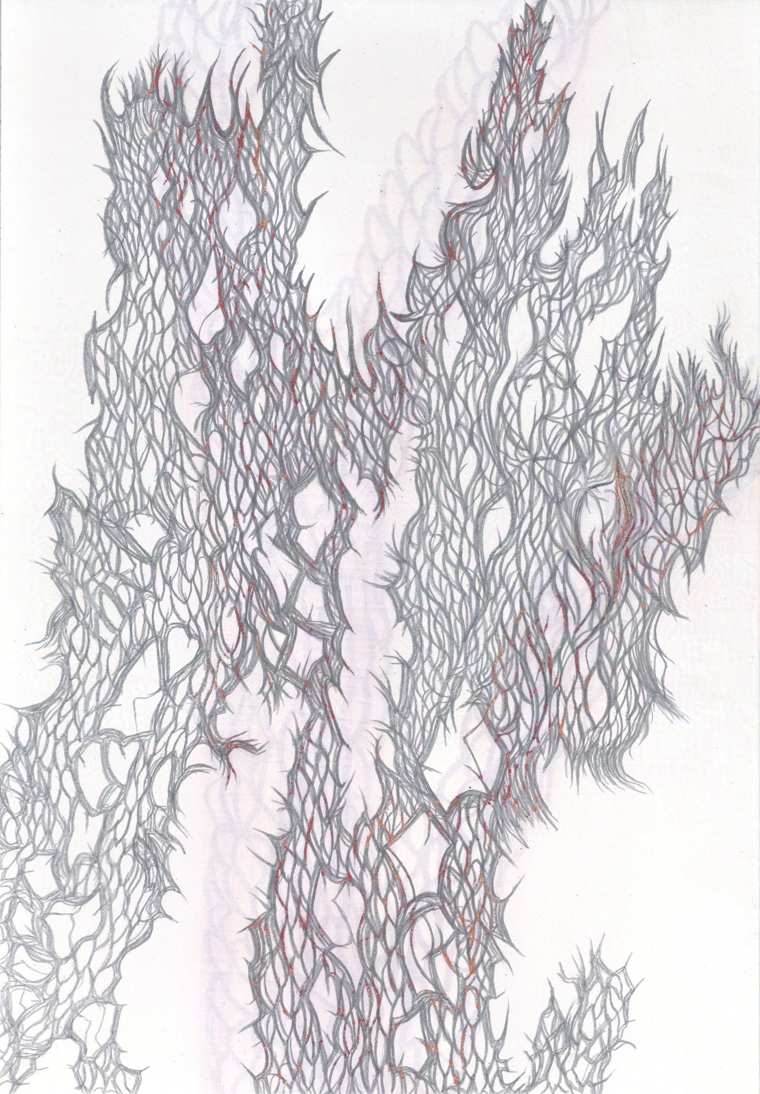 Palmettyo Labyrinth I 