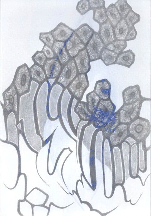 Indian Ocean Palimpsest II