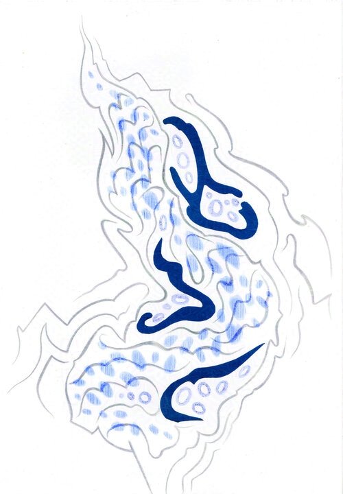 Inside the Cedar Bark