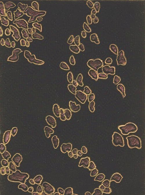 Inside the Cork Layer I (Wren)