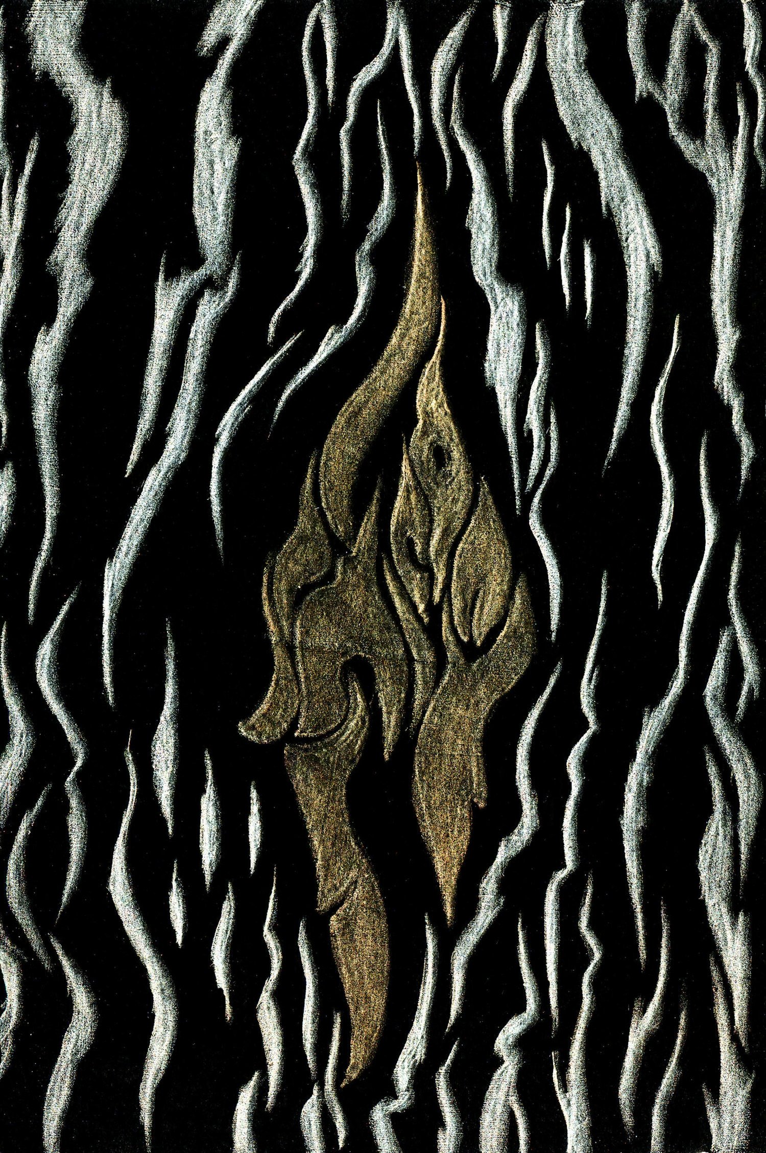 Orange Tree Bark