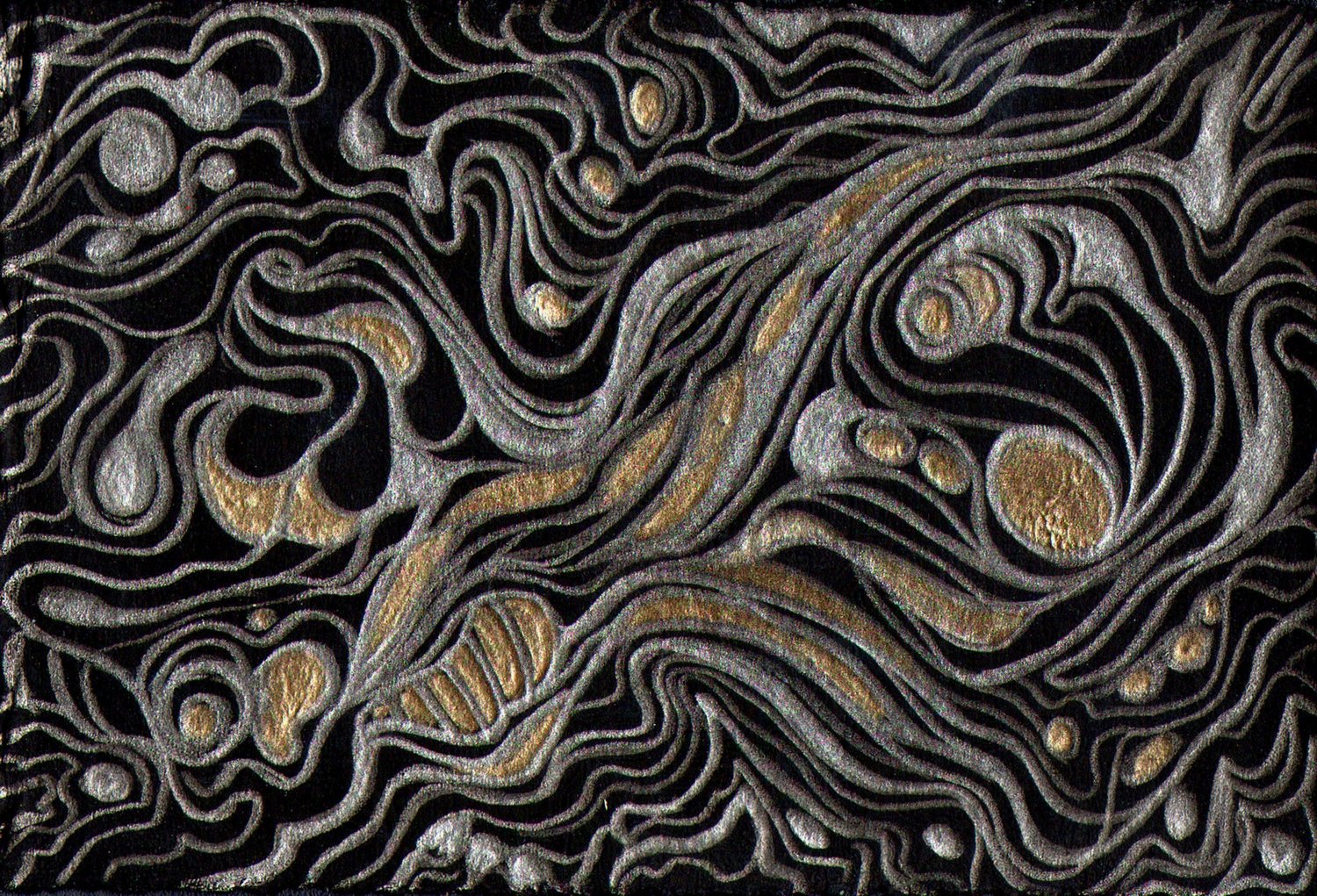Cork Oak II