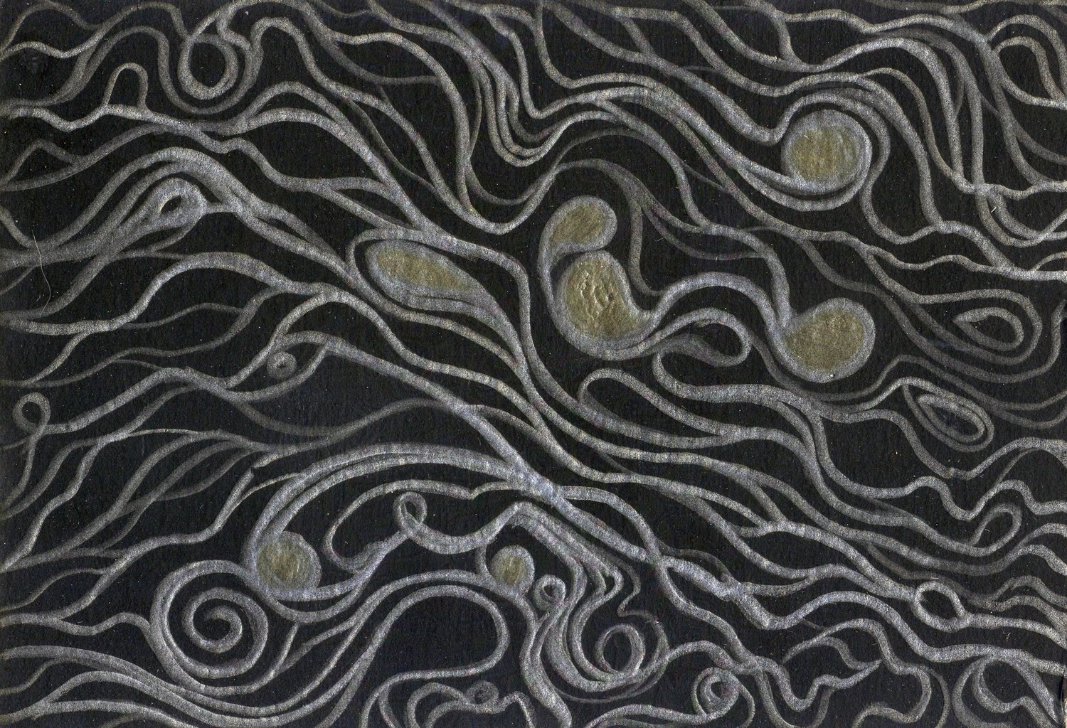 Cork Oak Labyrinth I