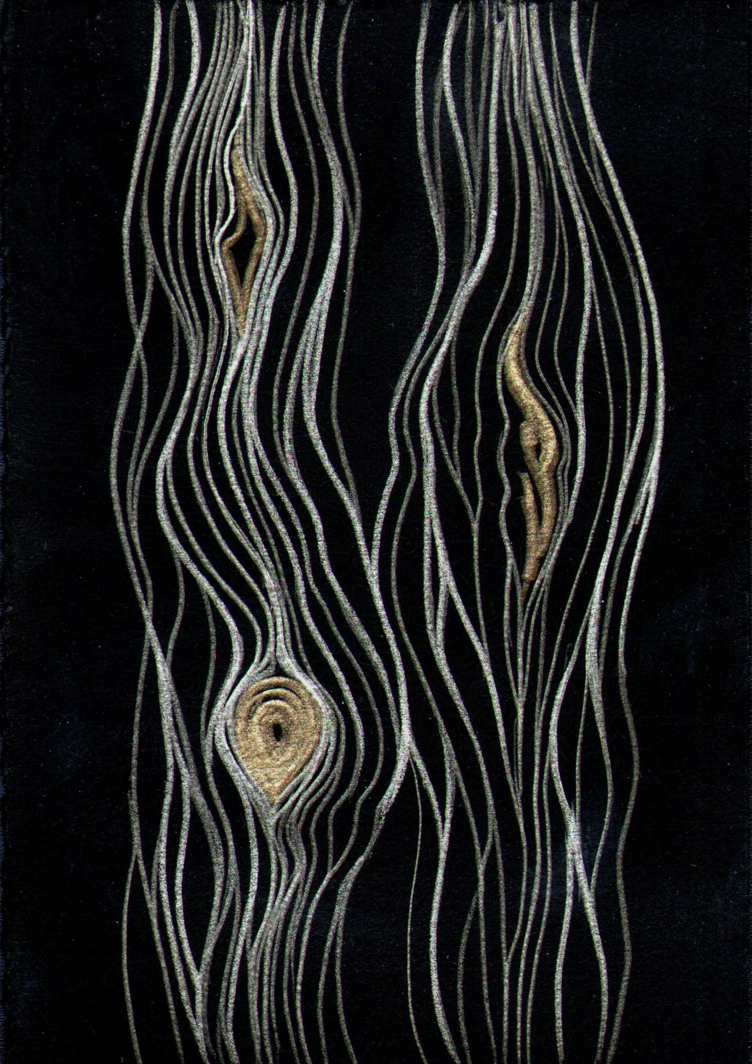 Cedar Lines