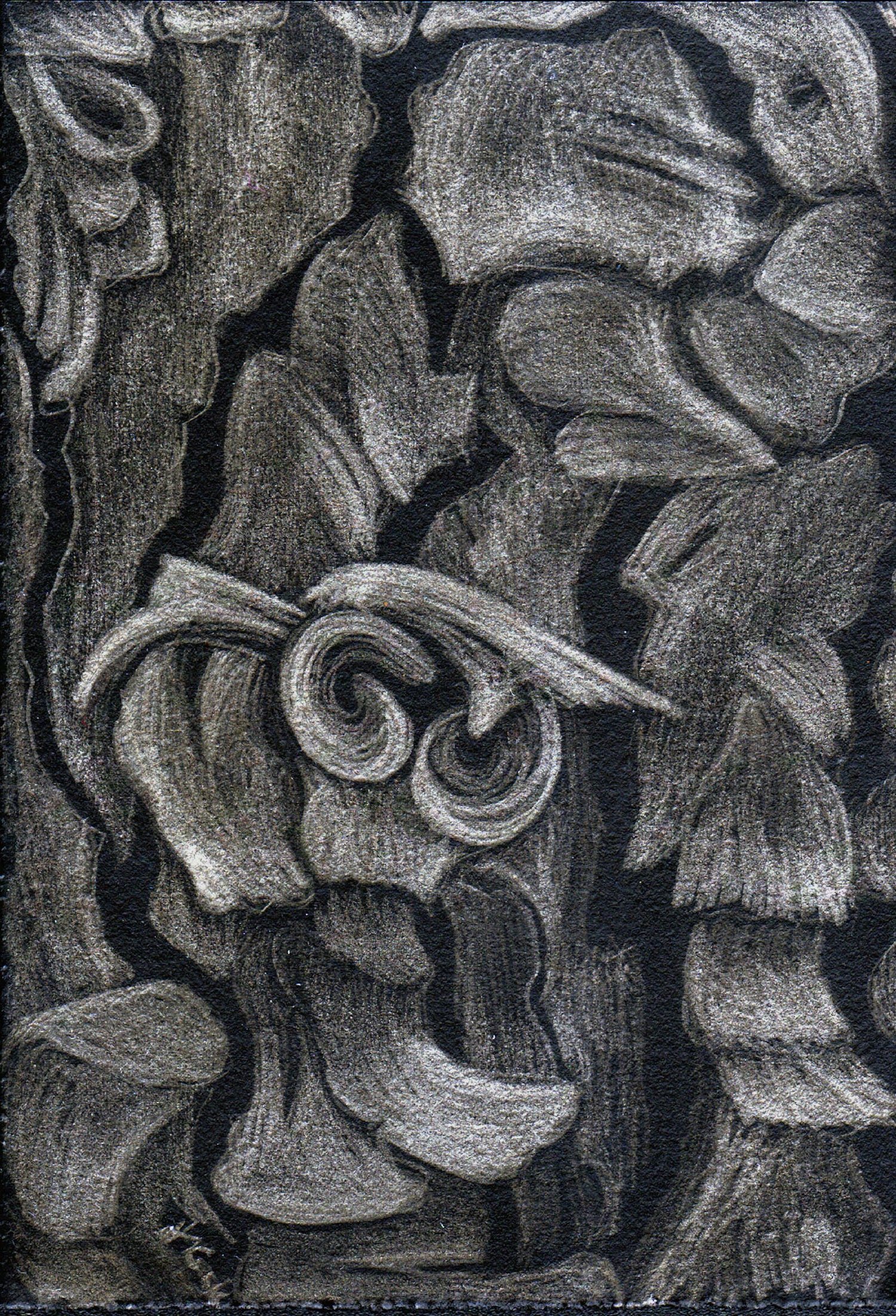 Ariadne's Thread II, Pine Tree Bark