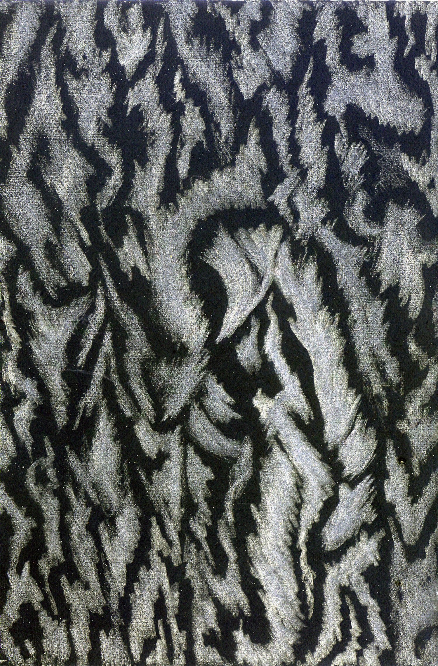 Balearica IV, Lemon Tree Bark