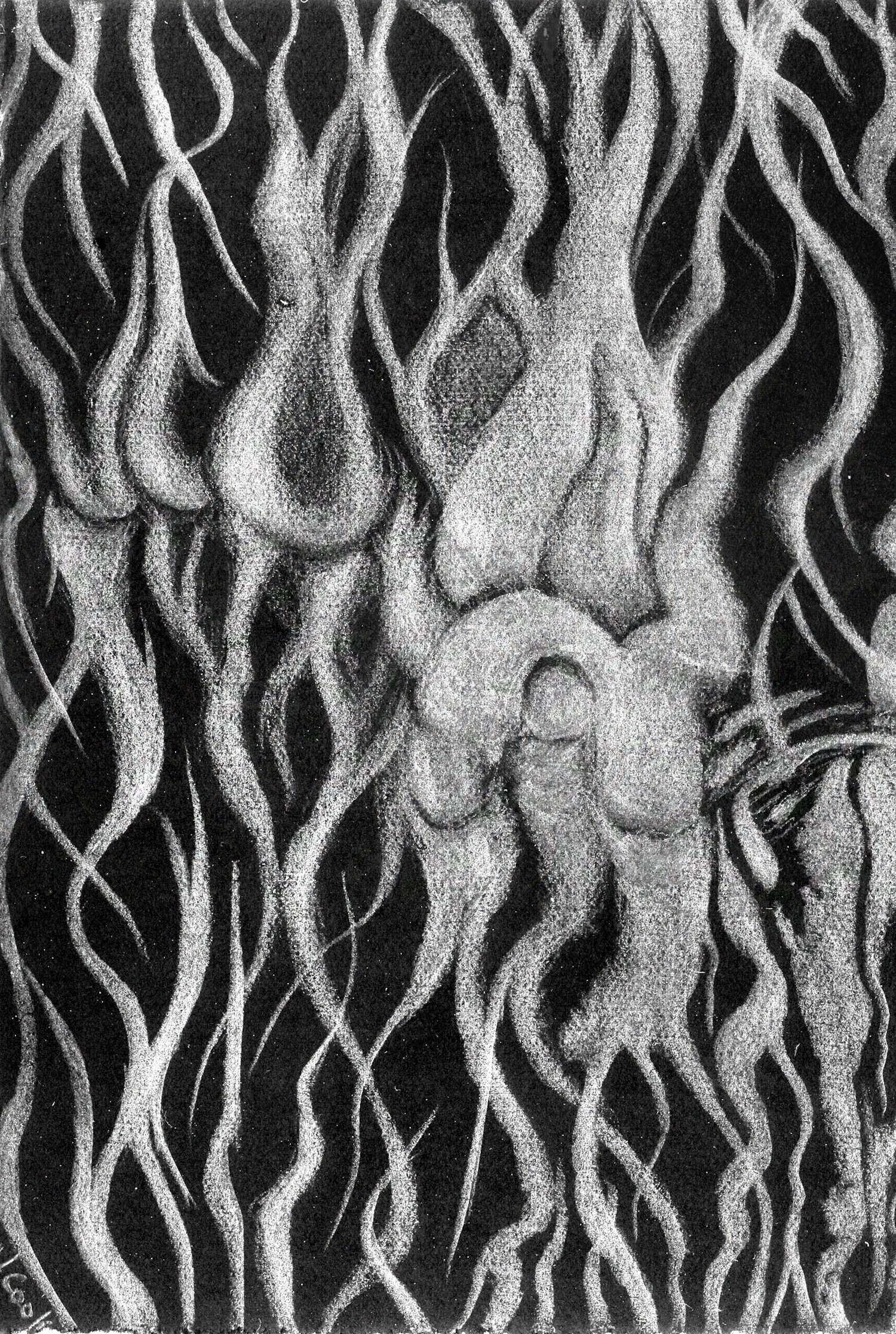 Balearica V, Lemon Tree Bark