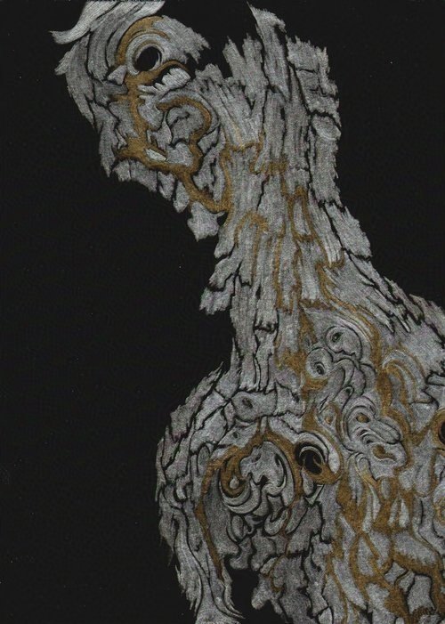 Cork Oak Contours, Evoramonte