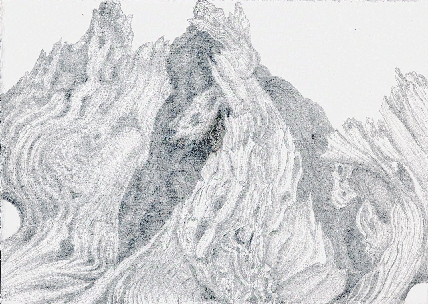 Cedar Sinews