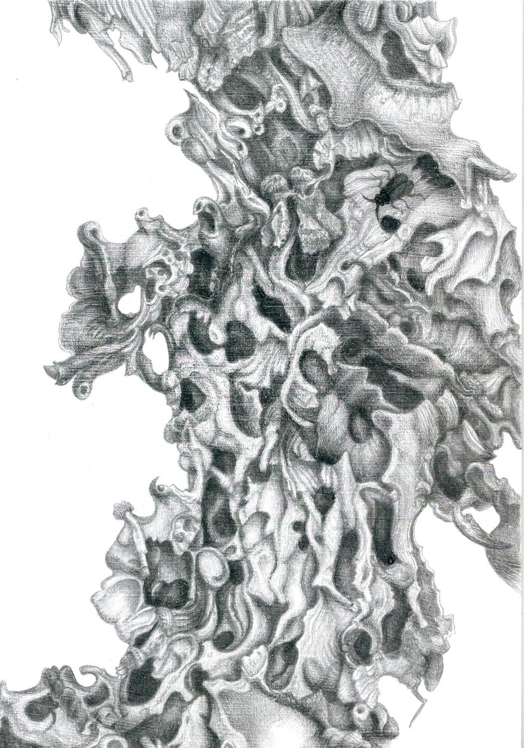 Oak Lace 