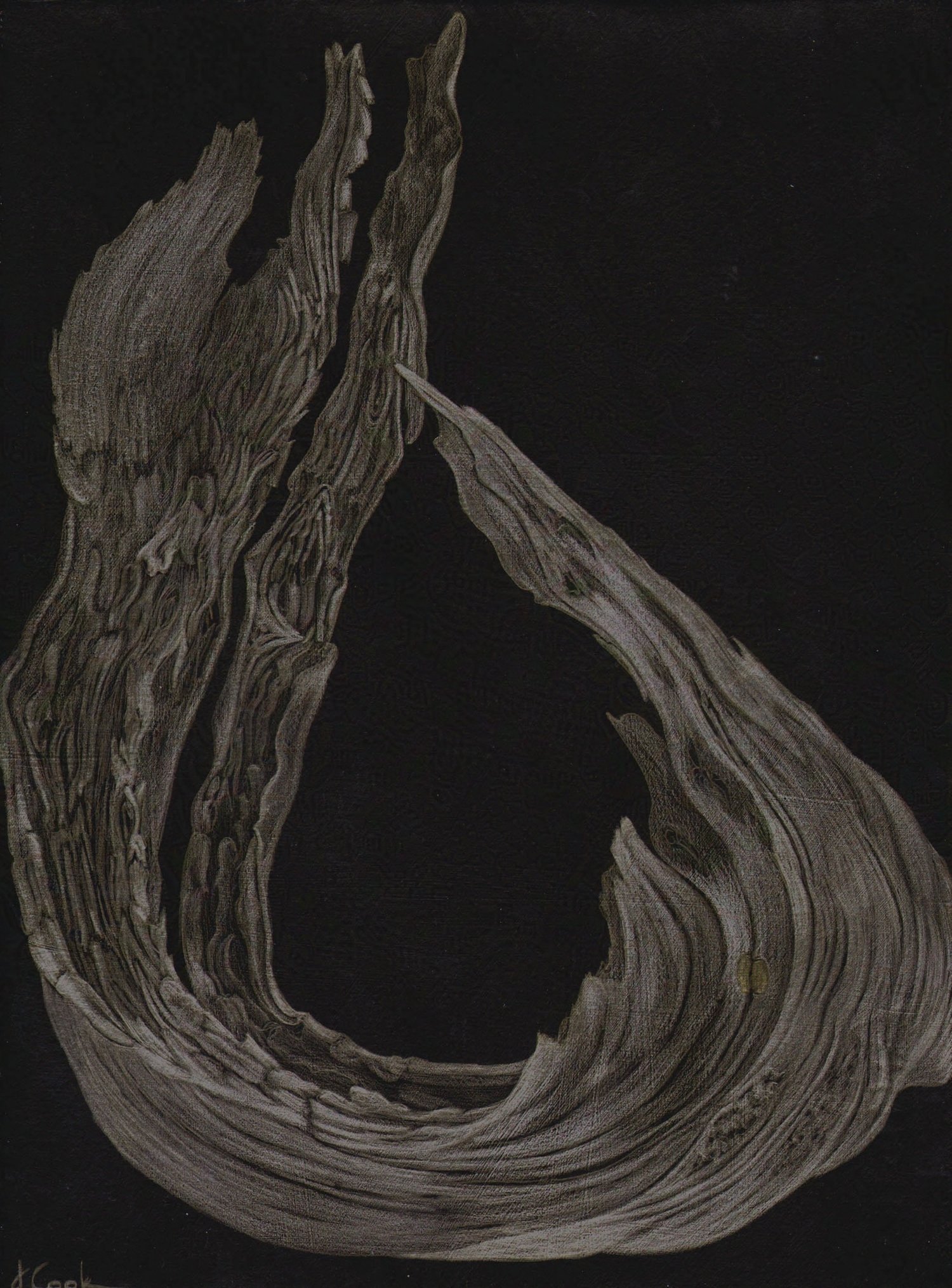 A Wave from the Past (Cedar)