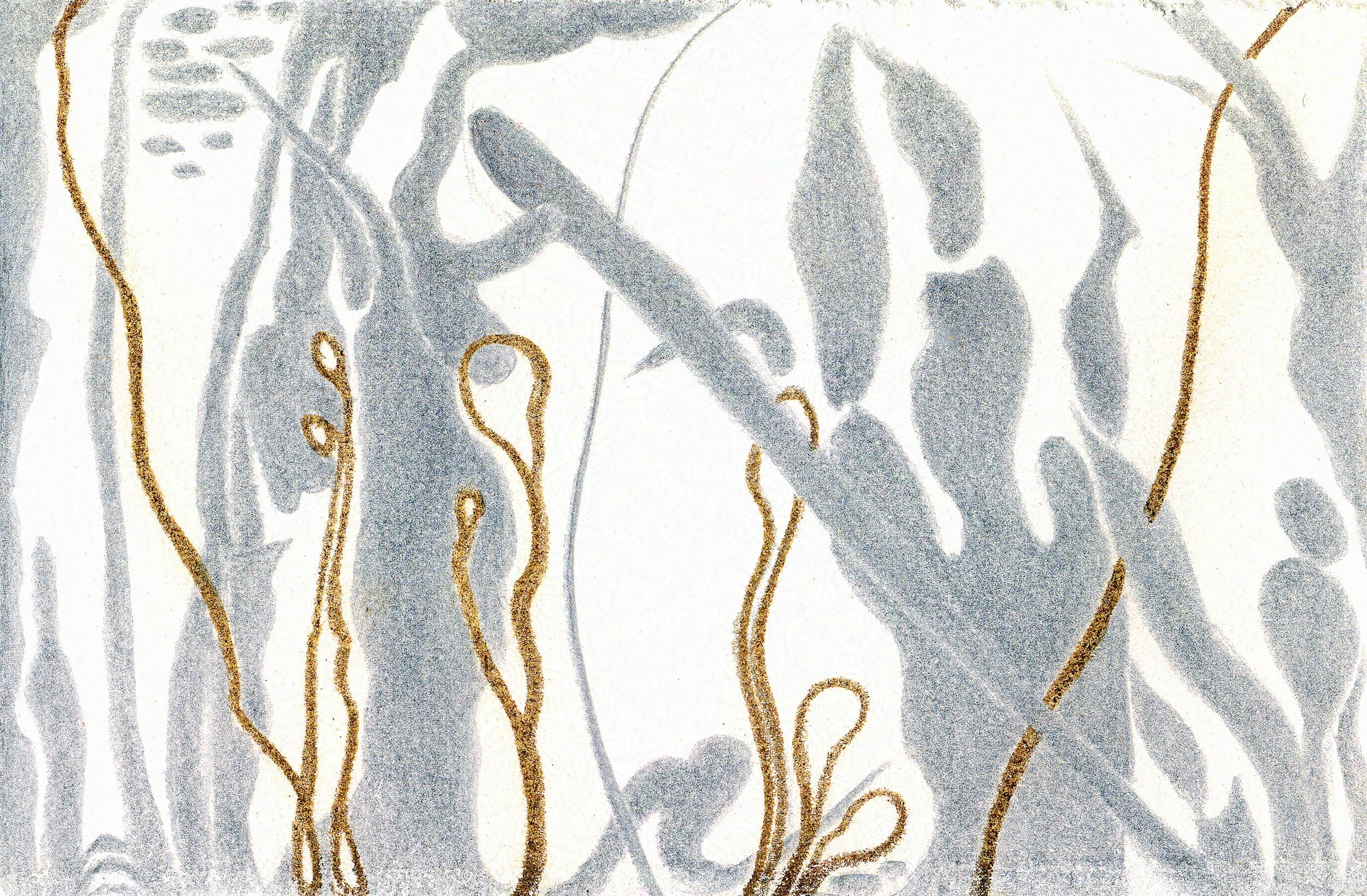 Spirits of the Stones VII, Bordeneuve 