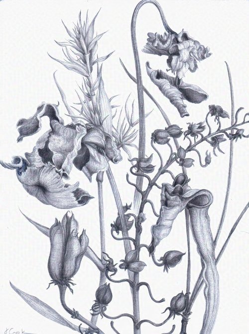 Seen at Manassas Bog